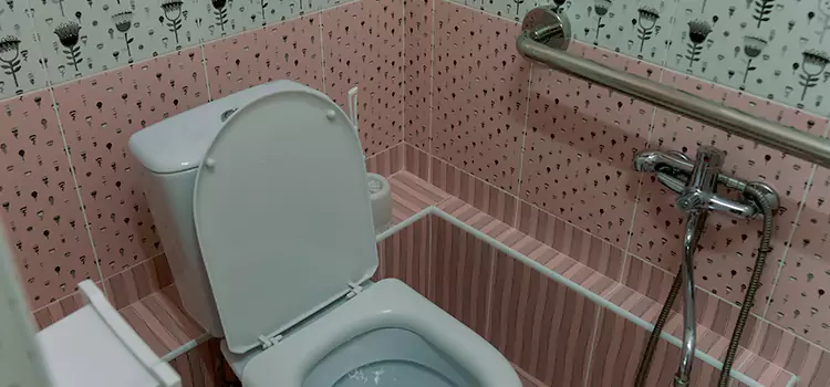 Meeting Diverse Needs With Accessible Restroom Solutions in Brooklyn Park, MN